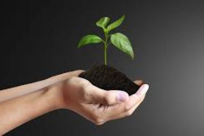 What Needs To Be Done To Register A Trust NGO?