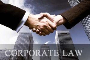 Corporate Law : Corporate Lawyers in Delhi India